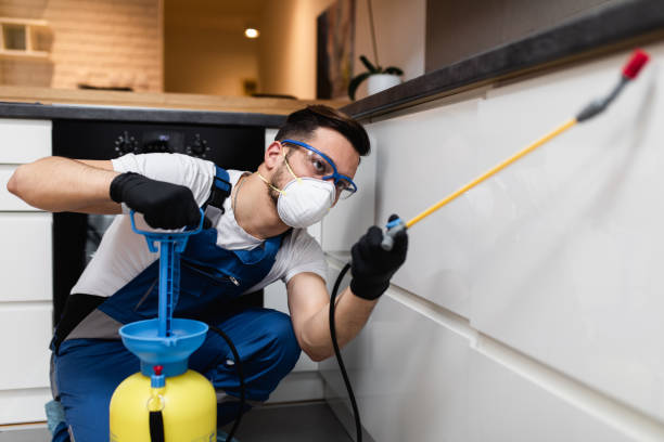Best Affordable Pest Control Services  in Lynnville, IN