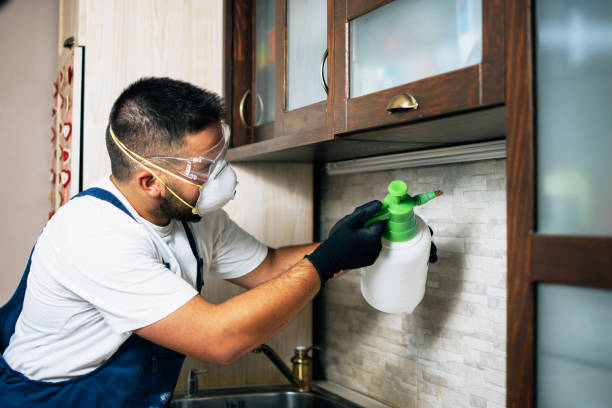Best Best Pest Control Companies  in Lynnville, IN