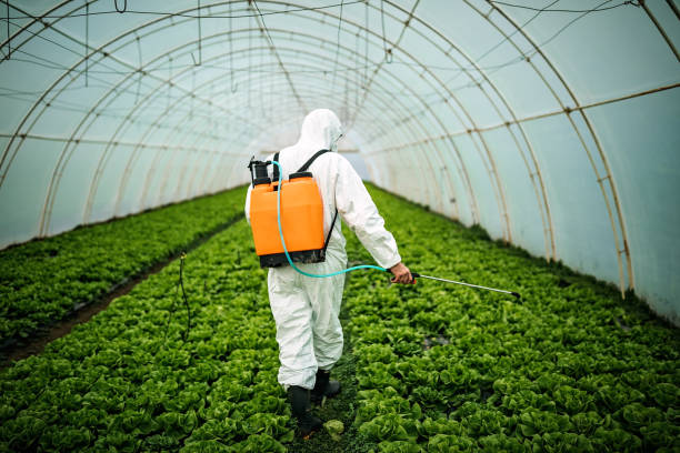 Best Mosquito Control Services  in Lynnville, IN