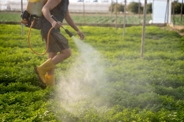 Pest Control Cost in Lynnville, IN