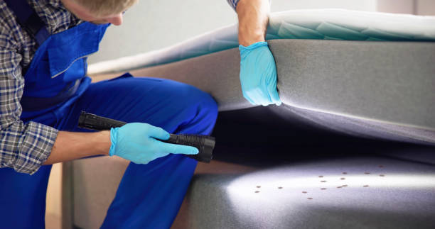 Flea Control Services in Lynnville, IN