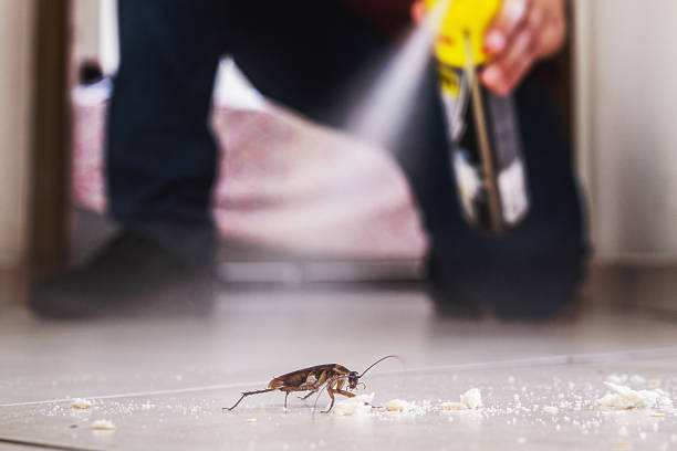 Flea Control Services in Lynnville, IN