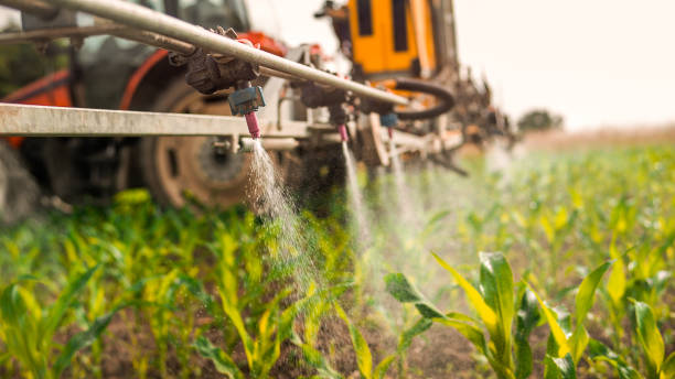 Professional Pest Control in Lynnville, IN